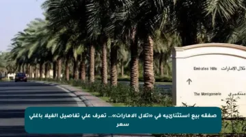 صفقة بيع استثنائية في «تلال الإمارات».. تعرف على تفاصيل الفيلا بأغلى سعر